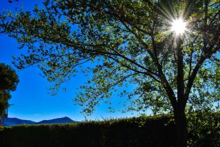 Cabañas Buena Vista - 2