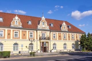 Hotel Kristály Imperial - Tata - 9