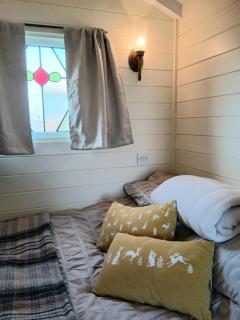 Halcyon - Shepherd's Hut - 2