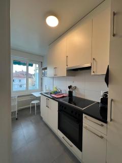 Standing Apartment in Ouchy - Lausanne - 0