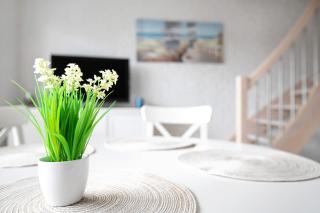 Ferienhaus Pfanne - 6