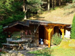 wo der Schwarzwald am schönsten ist - Talblick - - Baiersbronn - 1