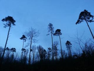 FeWo Schlossblick Marburg - Marburg an der Lahn - 5