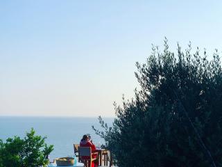 Alon Sevou Boutique Hotel - Syvota - 3