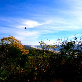 Monte al Mar, Barra de Cruz - Chacalapa - 7