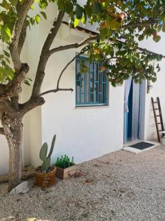 Casa Trullo Bianco: Casa Vicino - Ceglie Messapica - 9