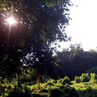 Monte al Mar, Barra de Cruz - Chacalapa - 8
