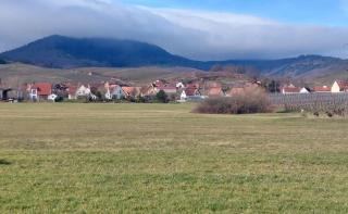 Gîte Centre Alsace - Nothalten - 1