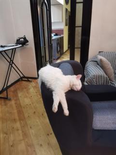 Eminera Sweet Home1 - Baku - 8