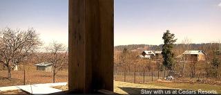 CEDARS Resorts - Doodhpathri Kashmir - - 5