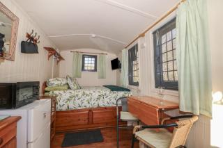 Carp Hut - Uckfield - 6
