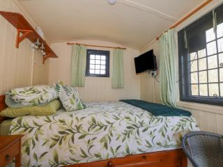 Carp Hut - Uckfield - 5
