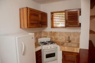 Paradiso del Caribe Apartments A1 and A2, Your Perfect Stay in Las Galeras - Las Galeras - 7