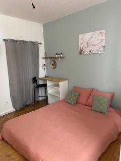 Studio nature centre ville Gannat - Gannat - 0