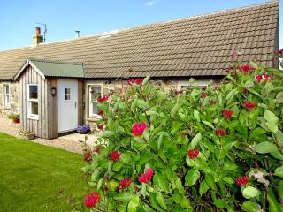 Charlies Cottage - Muasdale - 1