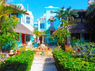 Casa Gatos - Akumal - 0