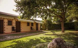 Agriturismo La Vecchia Quercia - Montemerano - 3