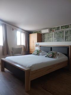 Cotinga - Villars-les-Dombes - 4