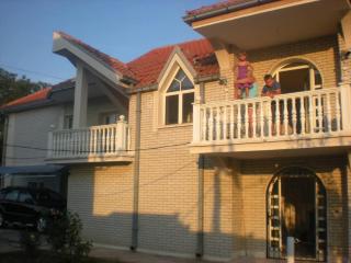 Vila Sava - Aleksinac - 1