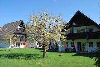 Gemütliche Ferienwohnung Mit Großem Garten - Walkenried - 9