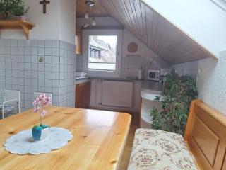 Apartmaji Marinka Hodnik - Bohinj - 7