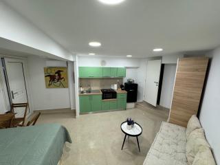 Olive tree studio ,Corfu Town - Agios Rokkos - 7