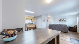 Convenient two bedroom near DIA - 5