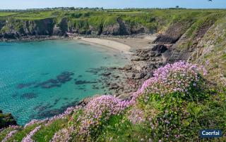 Druidston Cottage - 8