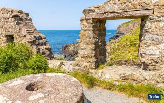Druidston Cottage - Haverfordwest - 4