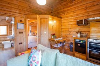 Pwll Cabin - Carmarthen - 5