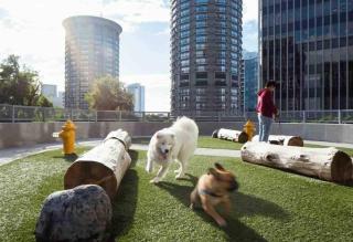 Gulch Luxe 2 Bed 2 Bath Suite - Nashville - 7