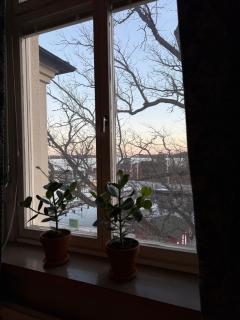 Rindö Hamn Bed & Breakfast - 3