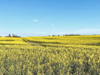 4 person holiday home in ANDERSLÖV - 2