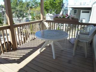 Wifi, Deck,yard, Ocean Side Duplex 2Nd Floor In Ship Bottom 10609 - 3