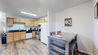 Spacious two bedroom apartment near DIA - 3