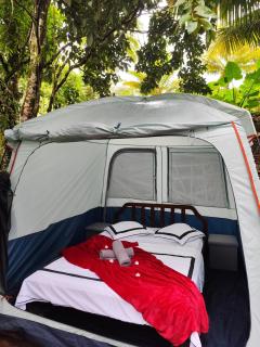Camping à la ferme - Gros-Morne - 7