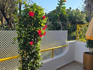 Apartamento Victoria - Vilamoura - 0