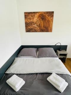 Apartment am Deutschen Eck - Coblença - 7