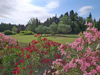 La Bastide des Amouriers - 1