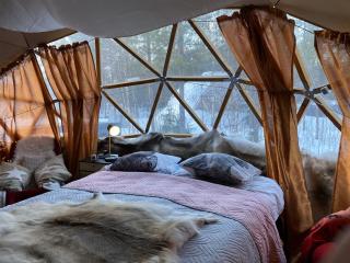 Private Jacuzzi Igloo bedroom in Aurora Lounge Hotel with shared sauna and pet friendly - 2