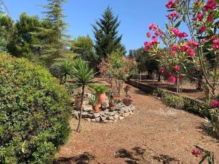 Villa Dolce Vita - Latiano - 6