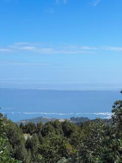 Welemu Kiñe - Vista panorámica al Mar y Bosque - Valdivia - 4