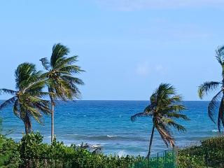 Le Balisier Vue mer Anse des Rochers - 6
