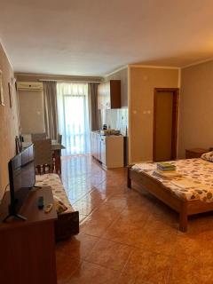 Ivanovic Family House Apartments - Sutomore - 1