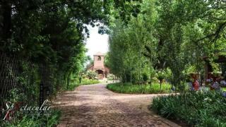 Benedetto On Vaal - 6