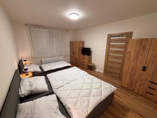 NEW Apartman Surany - Šurany - 7