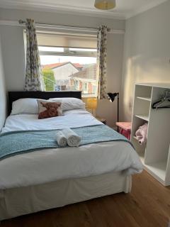 Bellevue Bungalow - Comfortable home with amazing views - Belfast - 9