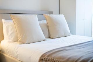 Luxury Apartment Near City Airport - with gym and free parking Sleeps 8 - 8