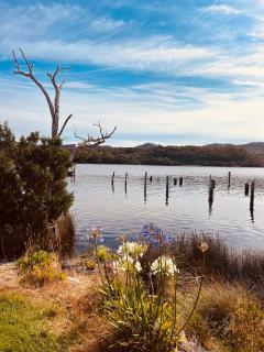 The Artists Cottage - absolute waterfront - Strahan - 9