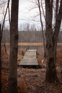 The Bonne Chere at New Frontiers Retreat - 5